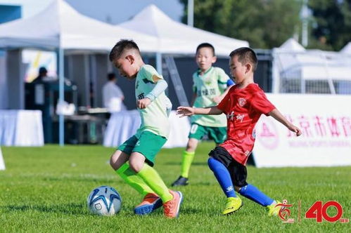 中超：席尔瓦梅开二度 青岛海牛队3-0长春亚泰队