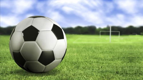 意甲：客场失利 AC米兰队1-2佛罗伦萨队