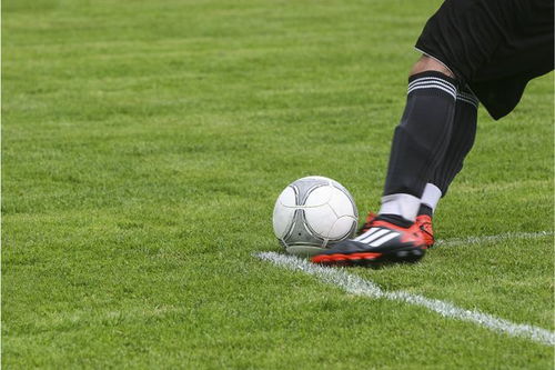 上海大师赛：弗里茨2-0大卫·戈芬 晋级男单半决赛
