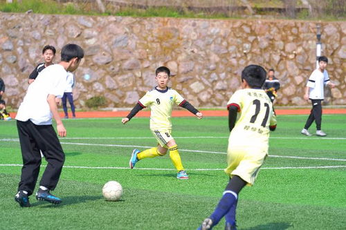 张弛租借加盟青岛海牛 泰山队离队球员已达八人