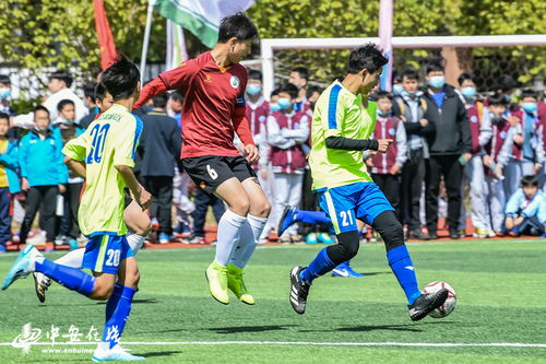 德国杯：多特蒙德1-0霍芬海姆 顺利晋级